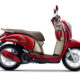 Honda scoopy 125cc